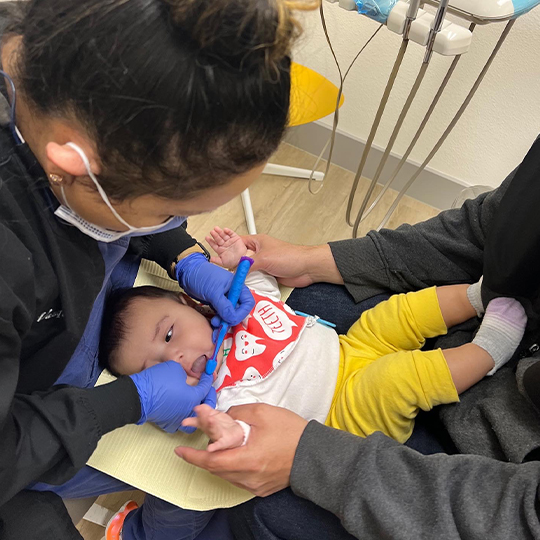 Infant being treated by dentist