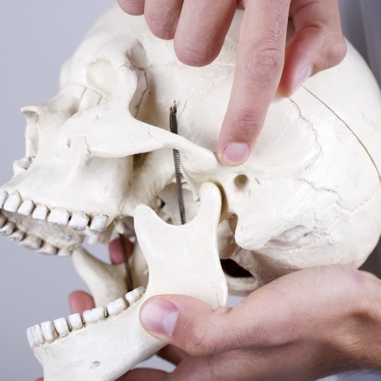 Dentist using skull and jawbone model to explain the function of occlusal splints
